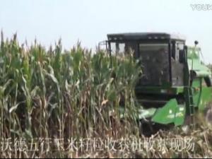 4YL-5玉米聯合收獲機